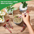 Mini-seeder – Precision seed tool for small seeds
