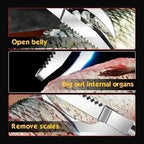 3-in-1 Fish scaler made of stainless steel