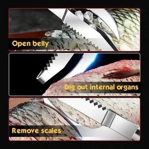 3-in-1 Fish scaler made of stainless steel