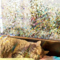 3D Rainbow Window Film – Privacy PRedection & Decoration without Adhesive