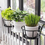PotHanger Space-Saving Plant Display