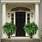 Life-like UV-resistant artificial Boston fern