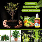 Plant Growth Enhancer – Organic Root Activator