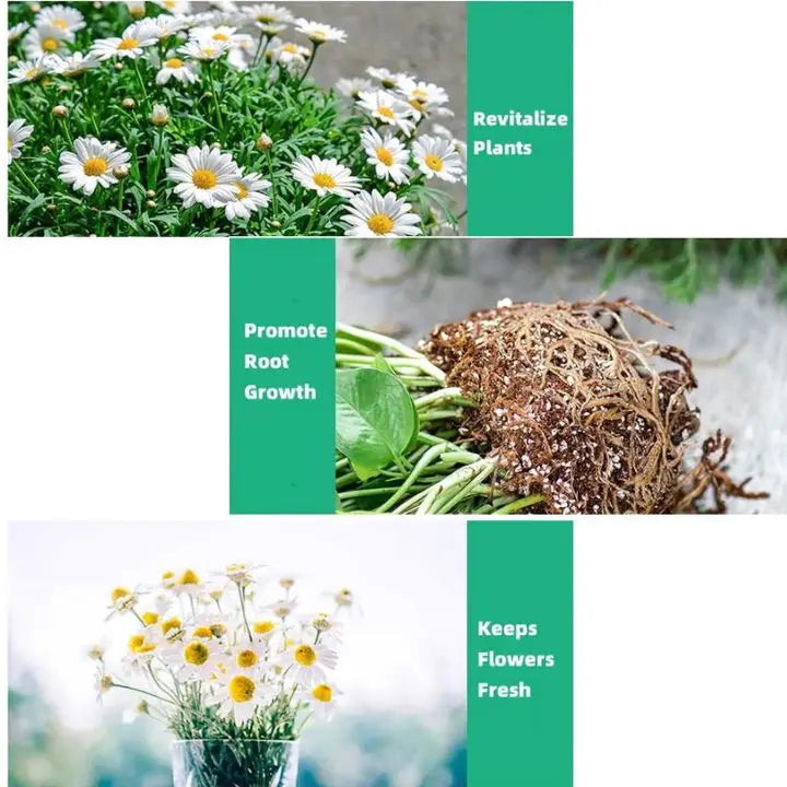 Plant Growth Enhancer – Organic Root Activator