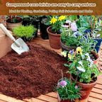 Premium Organic Coconut Soil Brick – Promote Natural Plant Growth