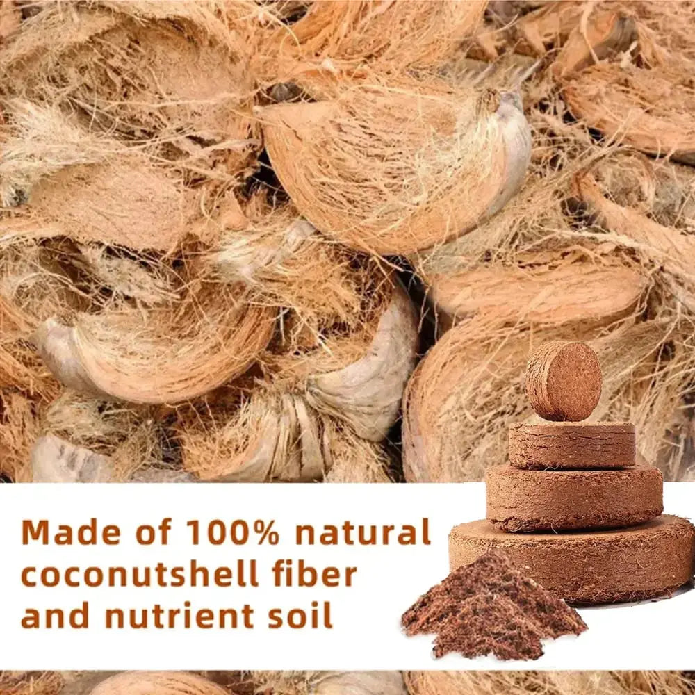 Premium Organic Coconut Soil Brick – Promote Natural Plant Growth
