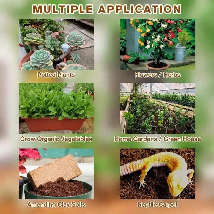 Premium Organic Coconut Soil Brick – Promote Natural Plant Growth
