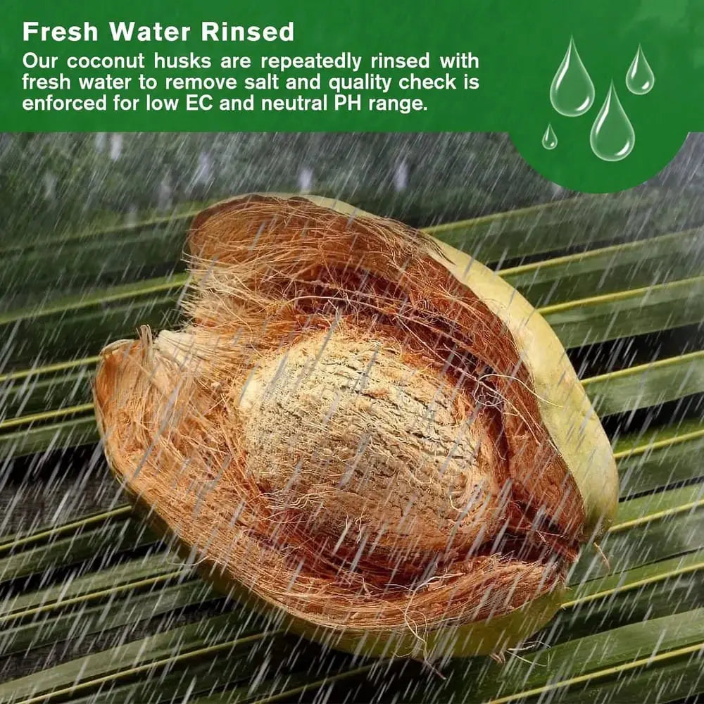 Premium Organic Coconut Soil Brick – Promote Natural Plant Growth