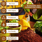 Premium Organic Coconut Soil Brick – Promote Natural Plant Growth