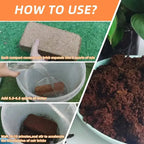 Premium Organic Coconut Soil Brick – Promote Natural Plant Growth