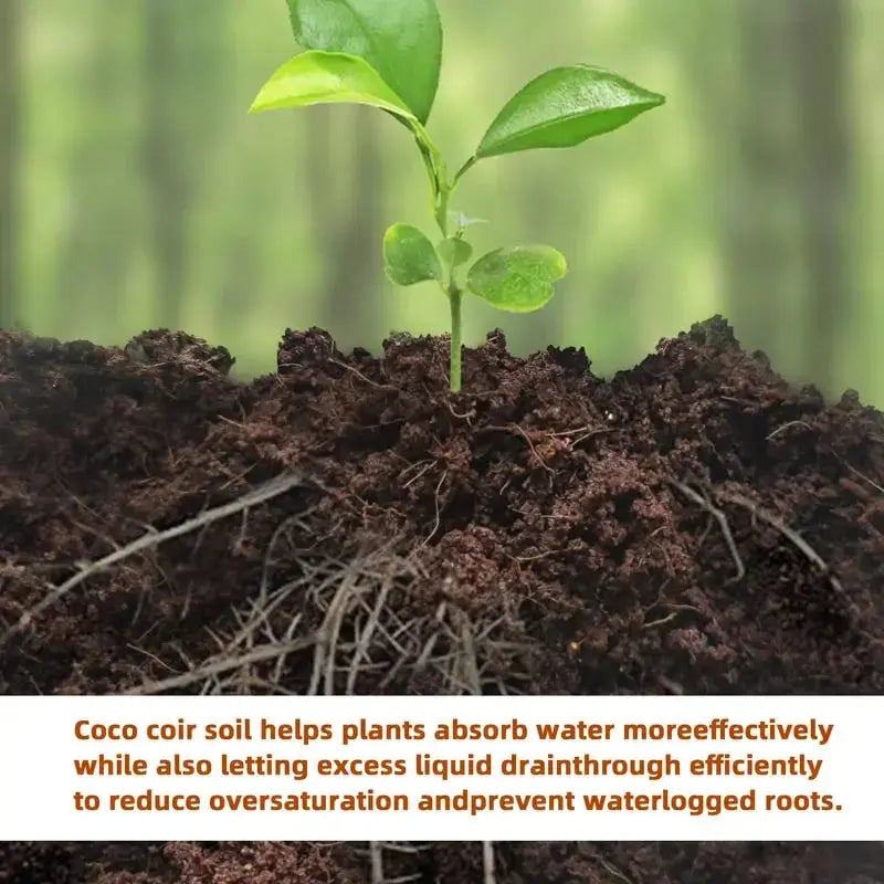 Premium Organic Coconut Soil Brick – Promote Natural Plant Growth