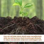 Premium Organic Coconut Soil Brick – Promote Natural Plant Growth