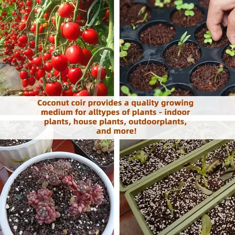 Premium Organic Coconut Soil Brick – Promote Natural Plant Growth