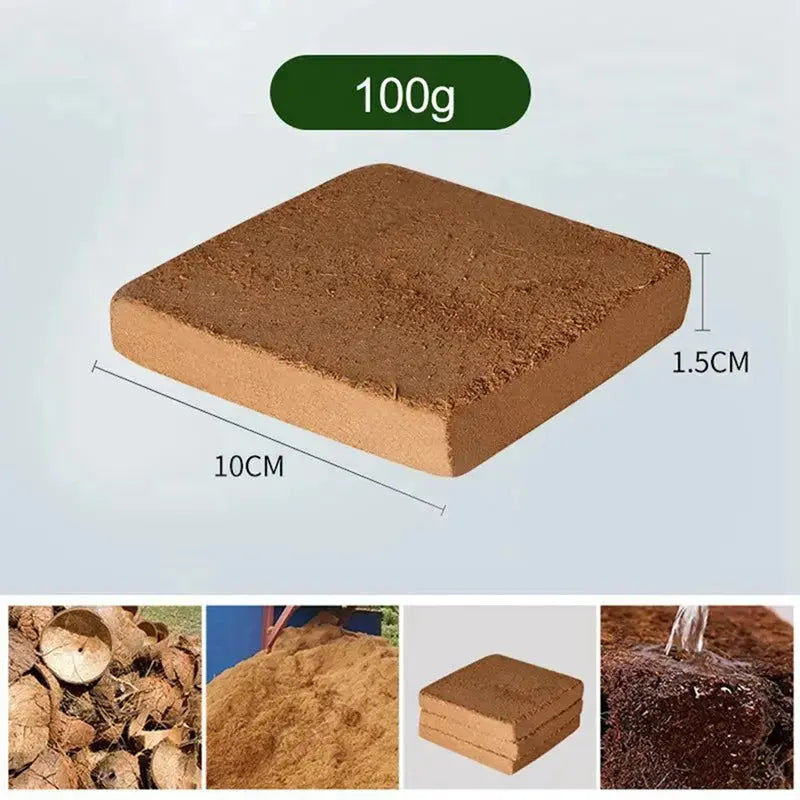 Premium Organic Coconut Soil Brick – Promote Natural Plant Growth