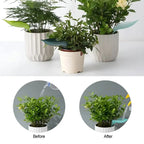 SprayLeaf Sustainable Plant Care