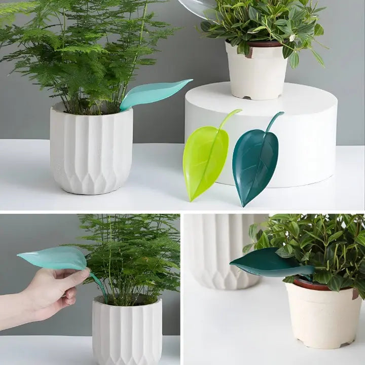 SprayLeaf Sustainable Plant Care