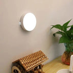 Rechargeable Motion Sensor LED Night Light