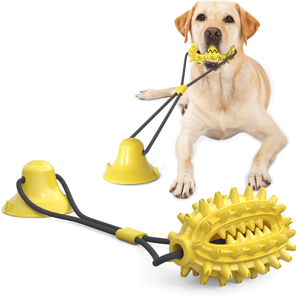 Single Suction Cup Cactus Chew Ball for Dogs