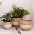 Decorative plant baskets made of seagrass in a set of 3 – Handwoven flower pots with foil insert