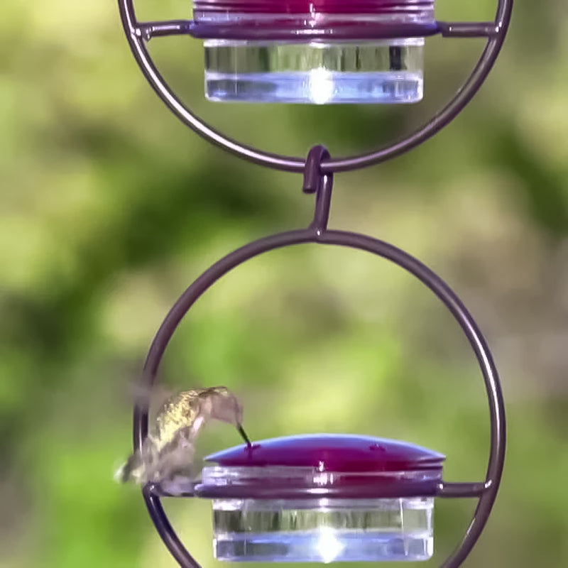 Simple Hummingbird Water Dispenser Made of Metal