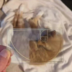 Golden Ratio Finder