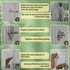 Automatic transparent bird feeder without spills