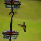 Simple Hummingbird Water Dispenser Made of Metal