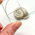 Golden Ratio Finder