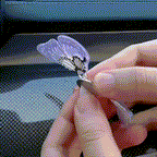Embroidery Scent Butterfly Decoration