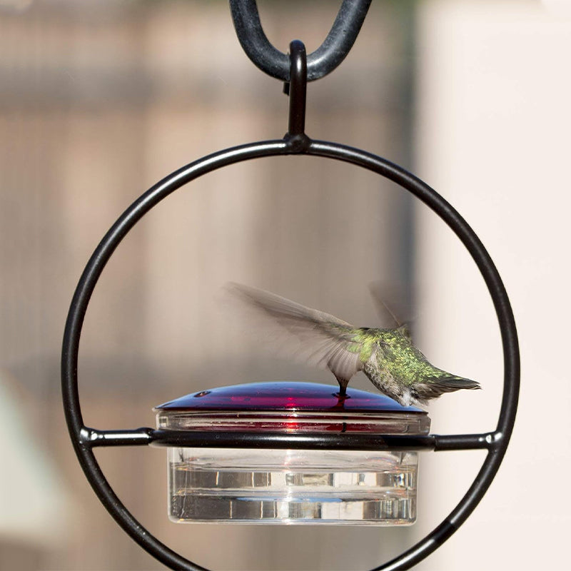 Simple Hummingbird Water Dispenser Made of Metal