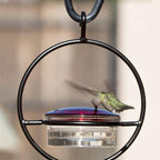 Simple Hummingbird Water Dispenser Made of Metal