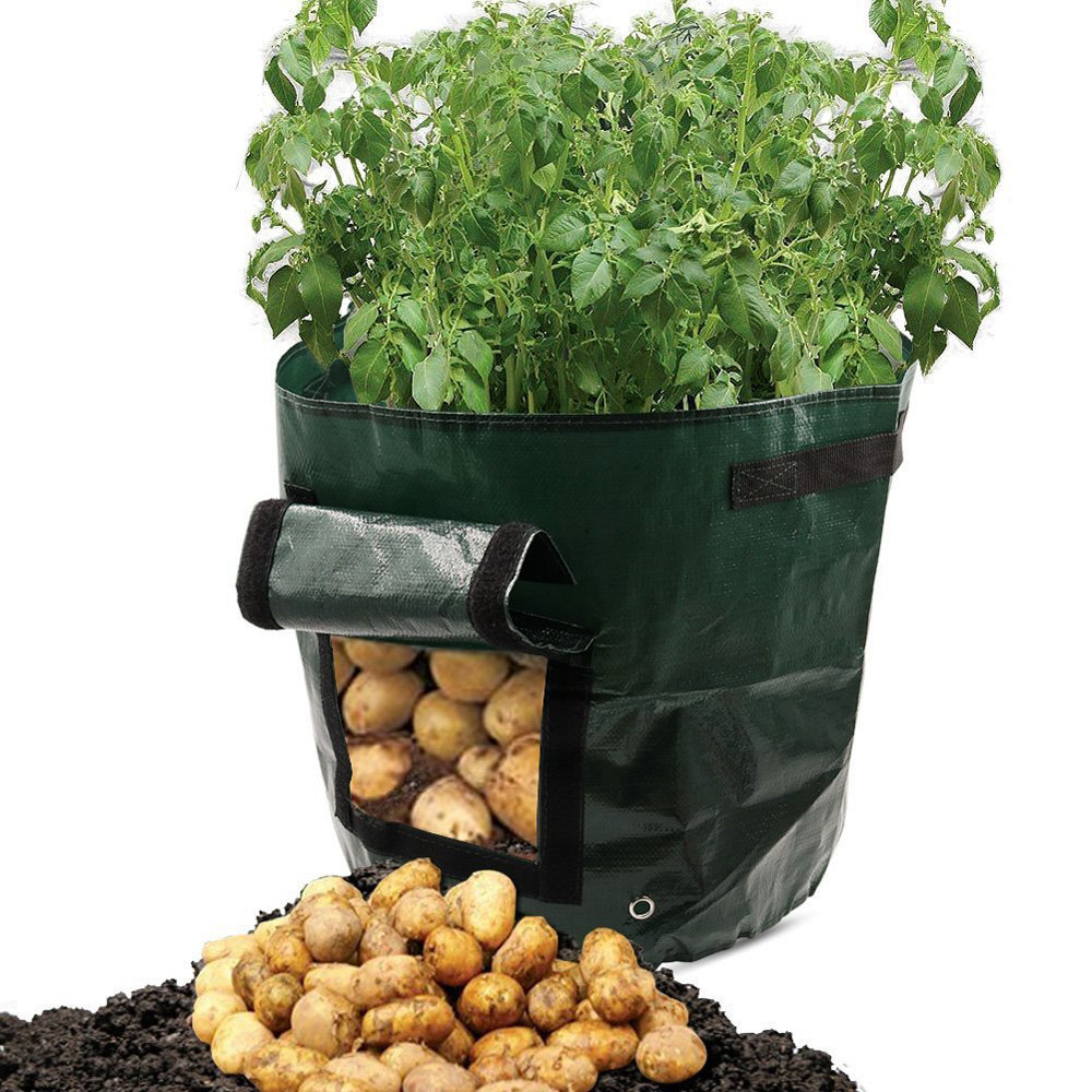 Planting bag for potatoes – Reusable and with viewing window