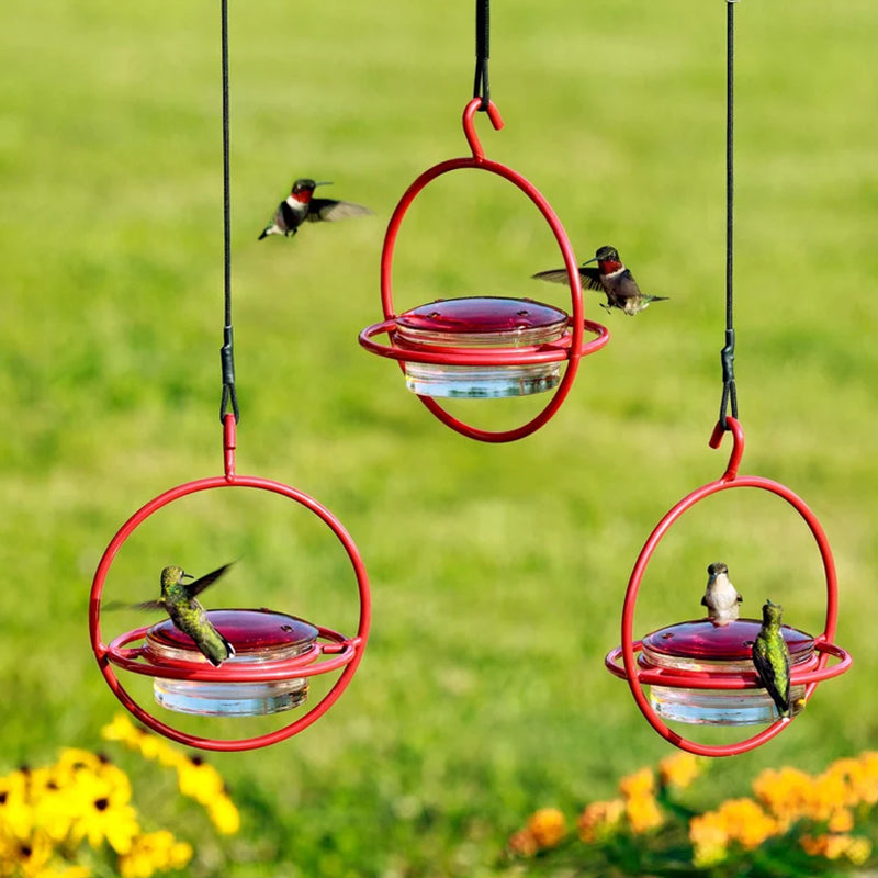 Simple Hummingbird Water Dispenser Made of Metal