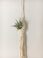Handmade Macrame Plant Hanger – Decorative Suspension for Plants in Boho Style