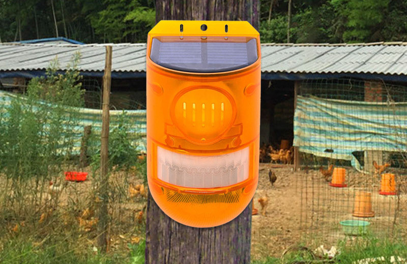 Solar-powered animal repeller with alarm – Effective protection against animals