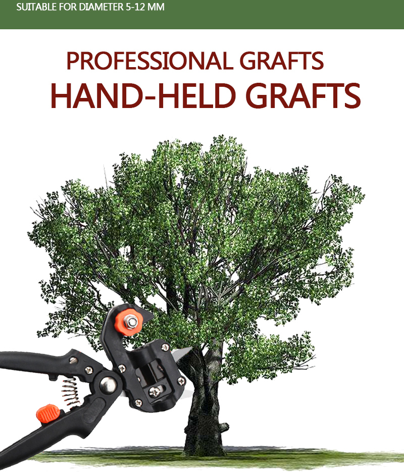 Refinement scissors for garden – Precise cutting tools for grafting and refining plants