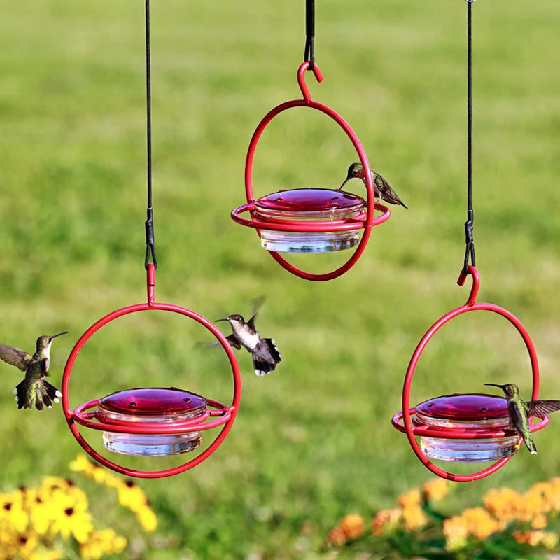 Simple Hummingbird Water Dispenser Made of Metal