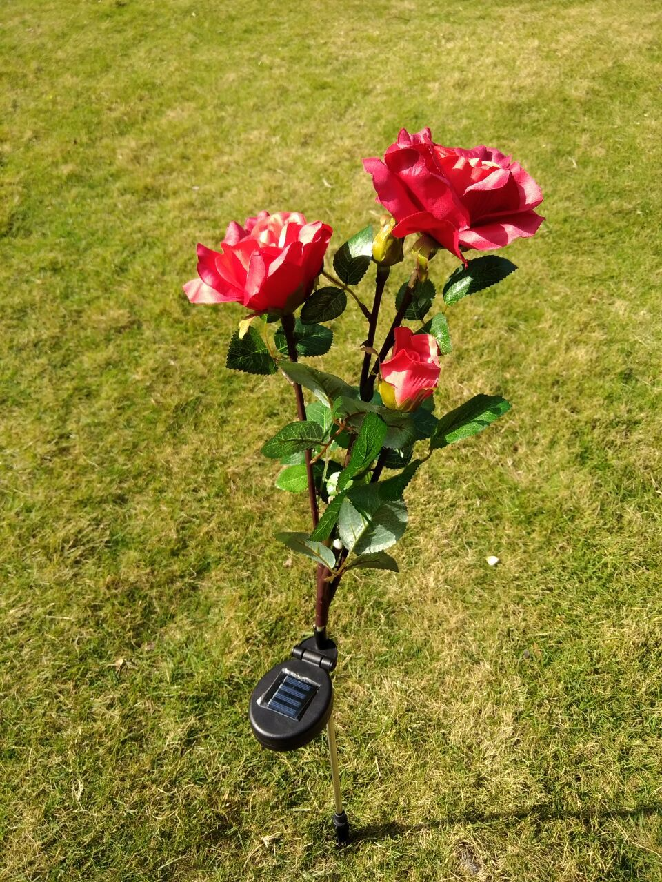 Solar-powered rose lights – garden stakes with solar panel for decorative lighting