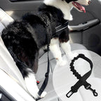 Adjustable Safety Belts for Dogs