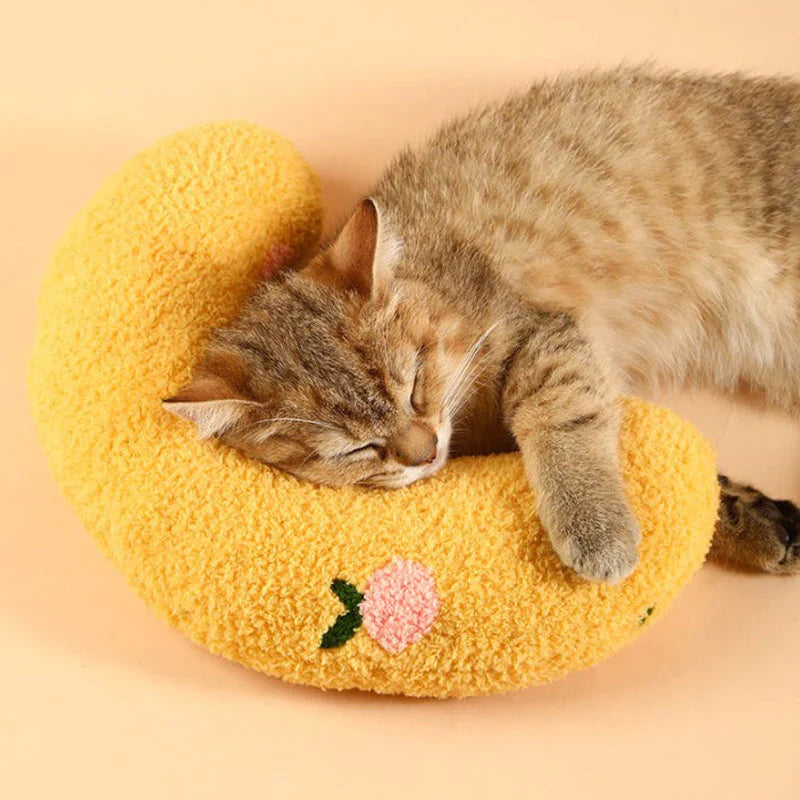 Cat Beautiful cozy pillow