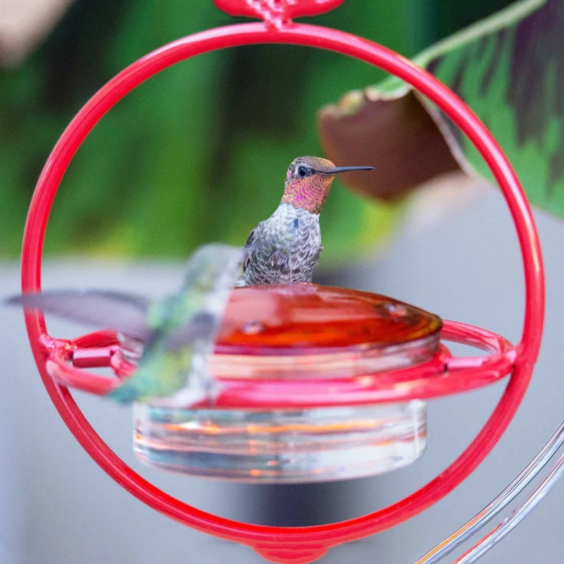 Simple Hummingbird Water Dispenser Made of Metal