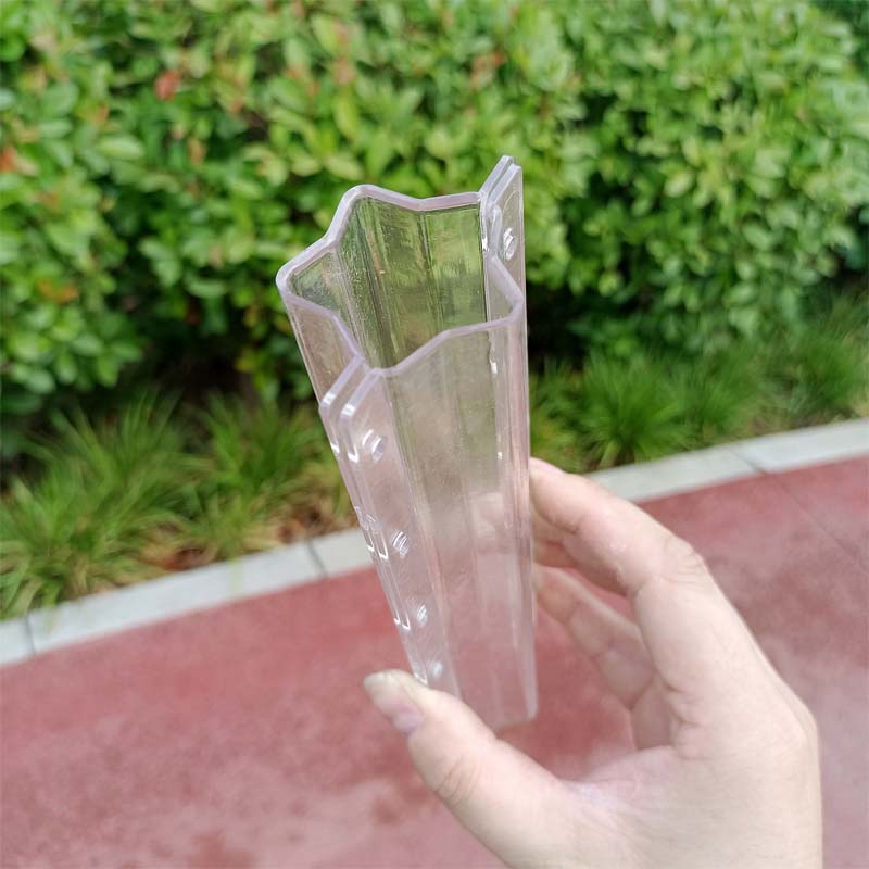 Love Shape Cucumber Growth Form