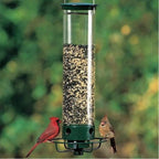 Squirrel-proof bird feeder