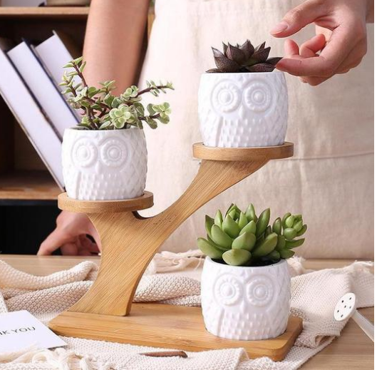 Decorative plant stand made of wood – plant pots in owl design for succulents and indoor plants