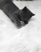 Plush Blanket with Super Soft Texture