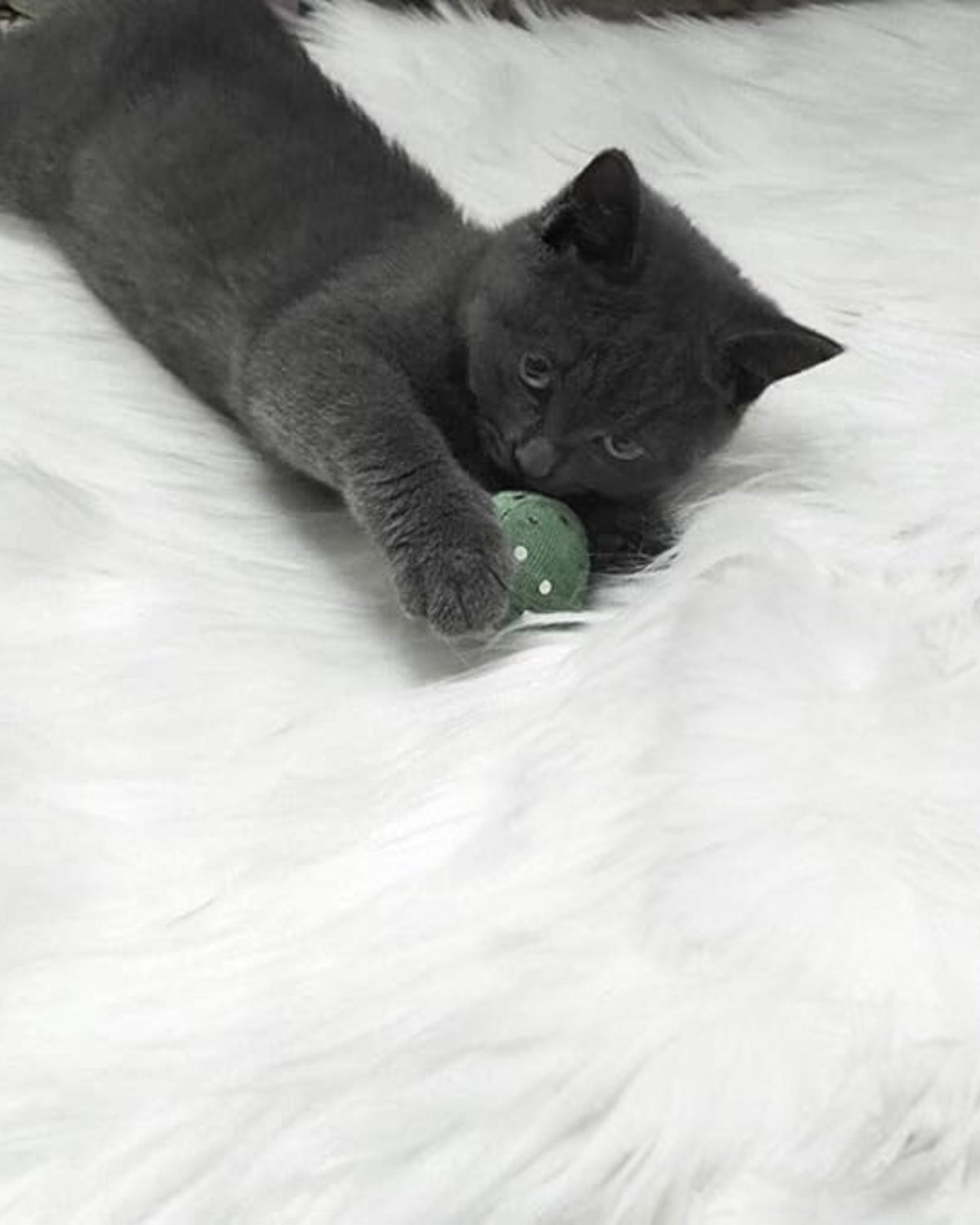 Plush Blanket with Super Soft Texture