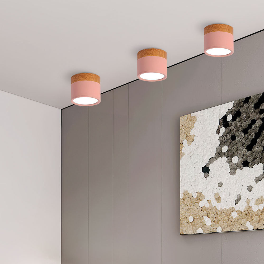 LED Ceiling Light Modern Flush Mount Cylinder