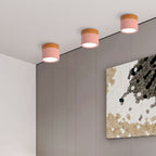 LED Ceiling Light Modern Flush Mount Cylinder