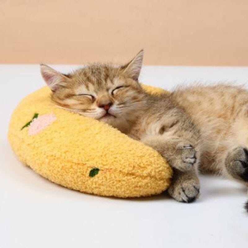Cat Lovely Comfortable Cushion