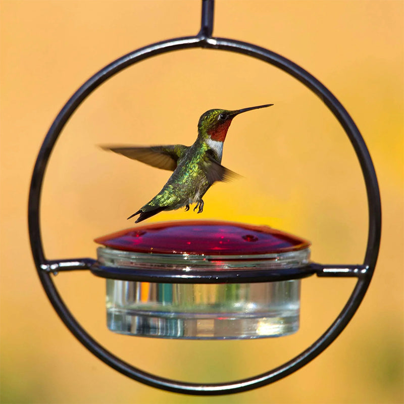 Simple Hummingbird Water Dispenser Made of Metal